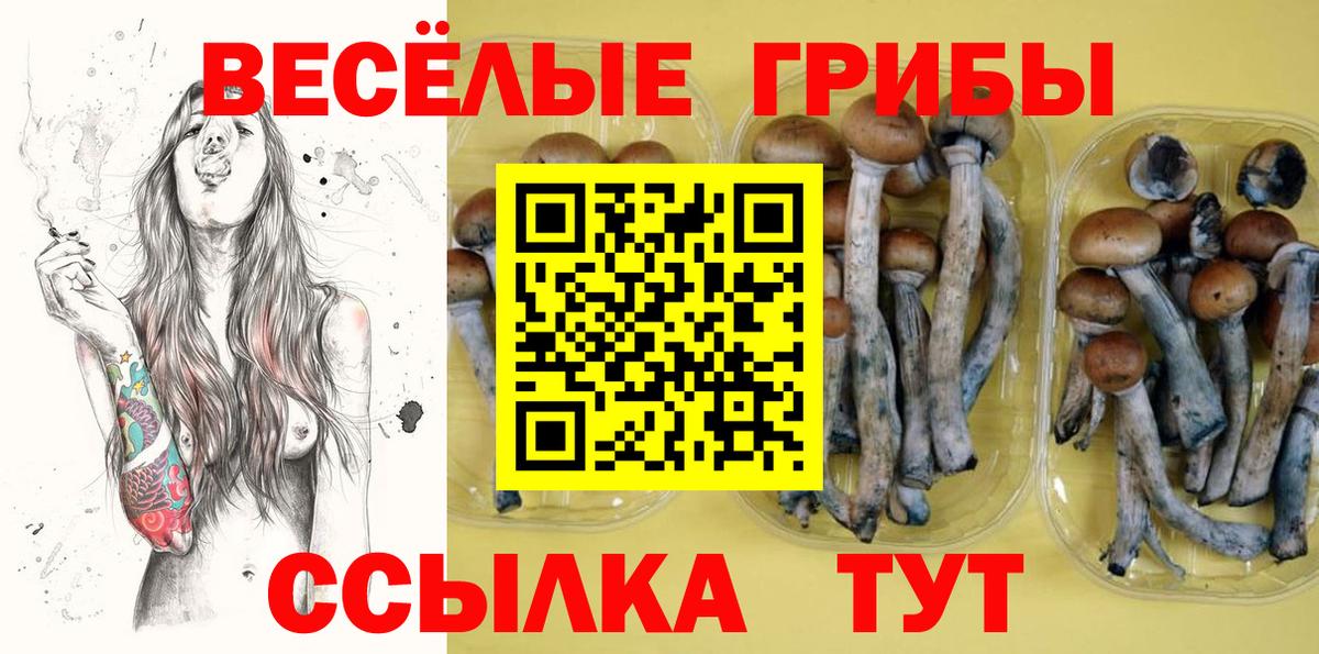 Псилоцибиновые грибы Cubensis Ленинск-Кузнецкий