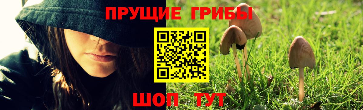 Псилоцибиновые грибы Magic Shrooms  Галлюциногенные грибы MAGIC MUSHROOMS  Ленинск-Кузнецкий  Вход с VPN 
